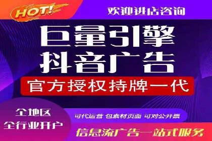 某品牌SEM广告投放的ROI提升案例